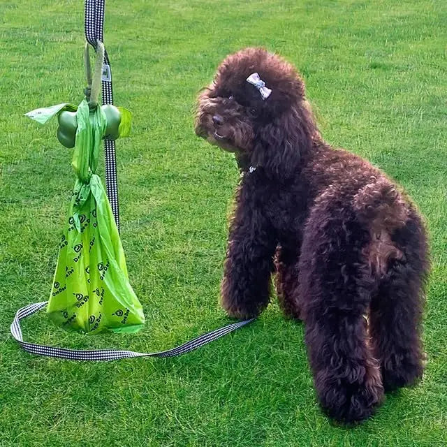Extra Thick Leak-Proof Dog Poop Bags With Handles
