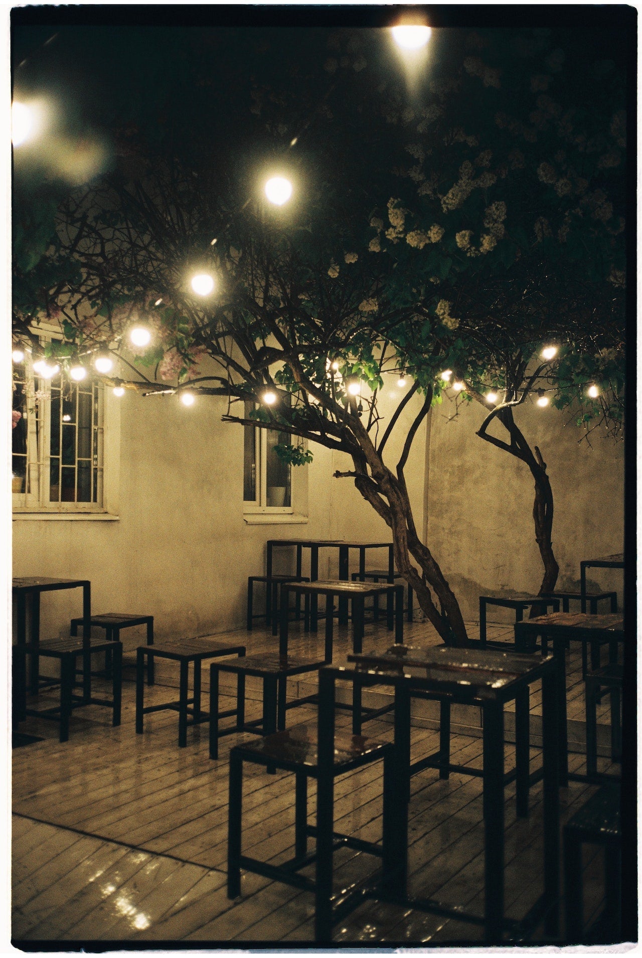 Lighting & Home Security