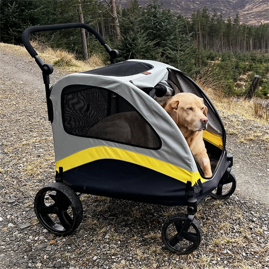 Premium All Breeds Dog Stroller Pram 4 Wheel Foldable Cart