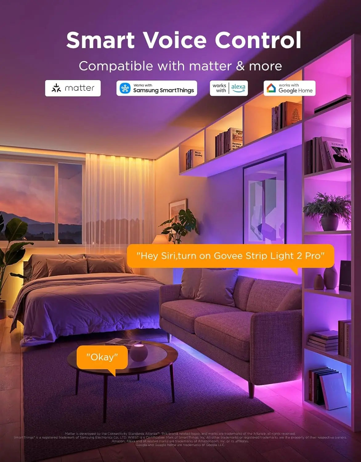 Smart WiFi LED Strip Lights Matter Alexa and Google Assistant