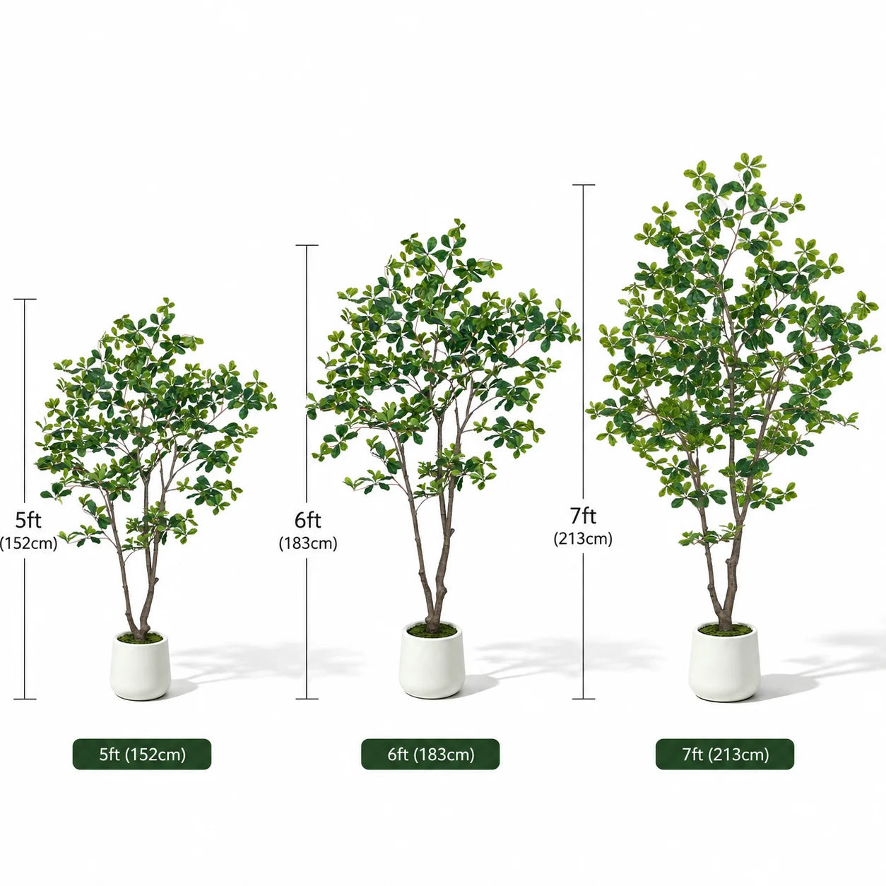 Olitree 5 To 7 Ft Faux Black Olive Tree In White Pot