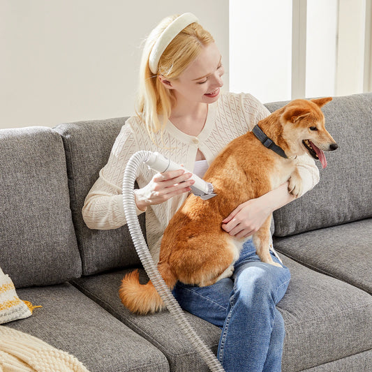 JHK 2.5L Professional Pet Grooming Vacuum Kit With Suction Modes