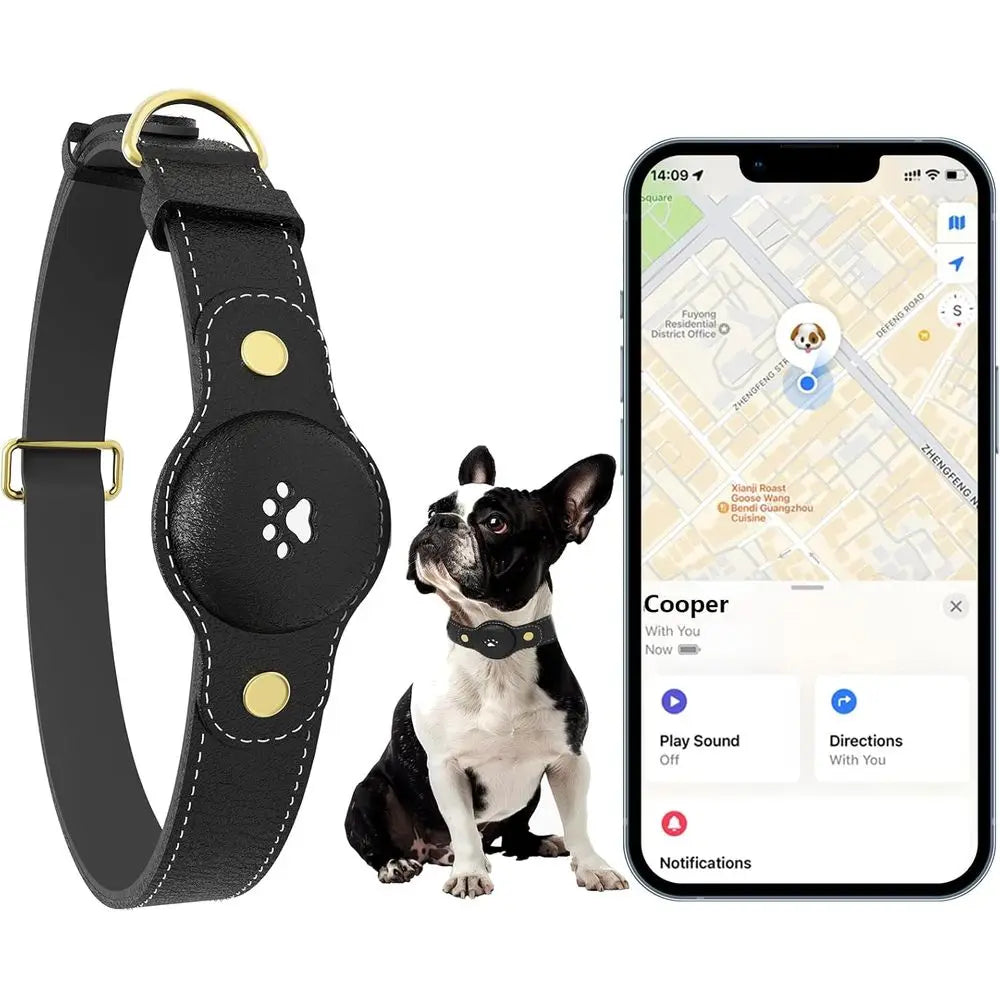 GPS Tracker for Dogs Smart Collar and Real Time Location