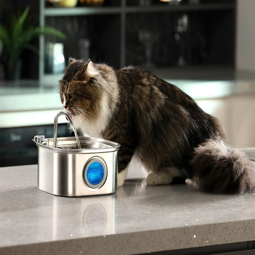Stainless Steel Pet Water Fountain Automatic Dispenser