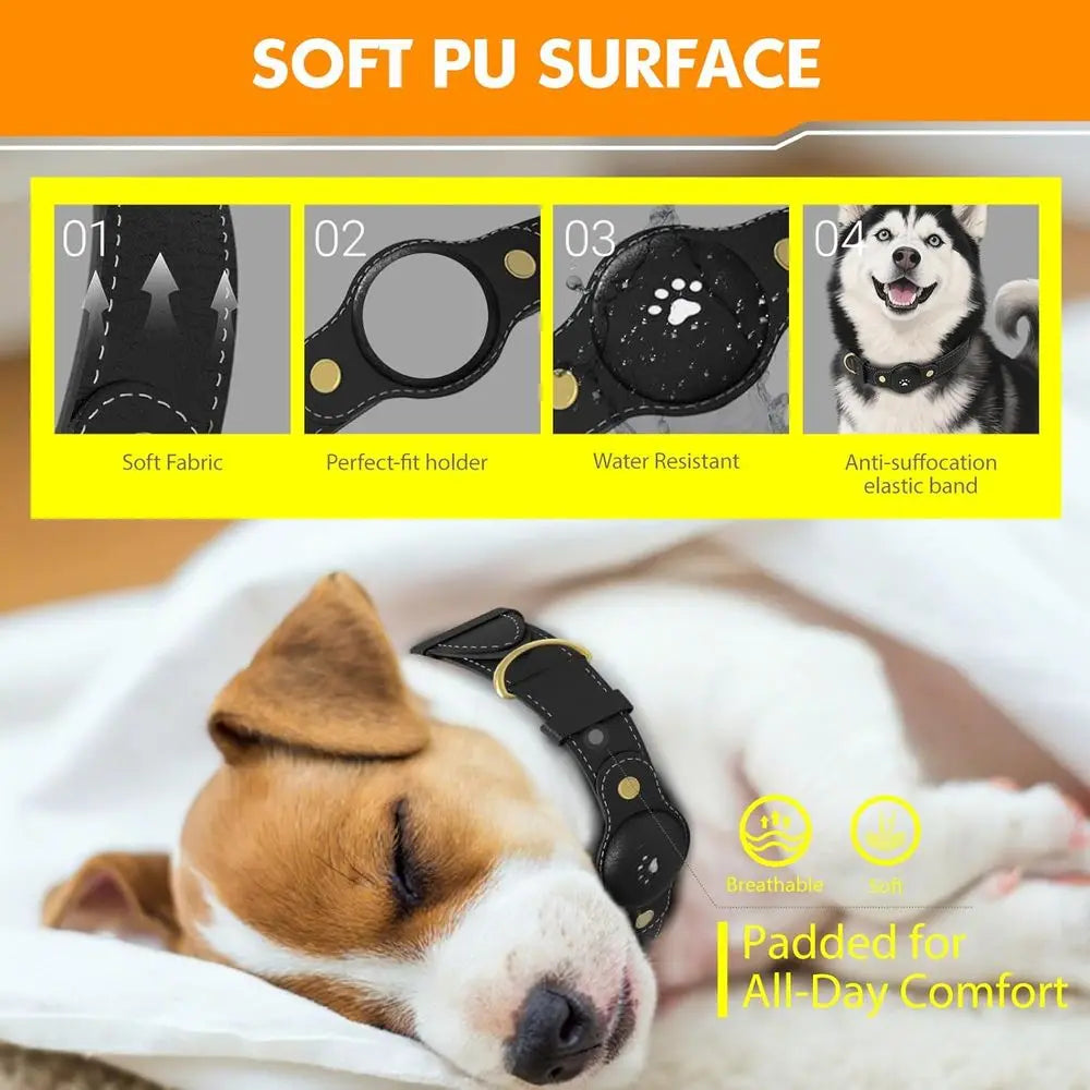 GPS Tracker for Dogs Smart Collar and Real Time Location