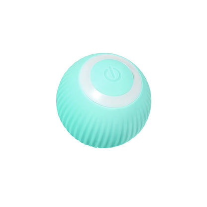 Smart Automatic Rolling Ball